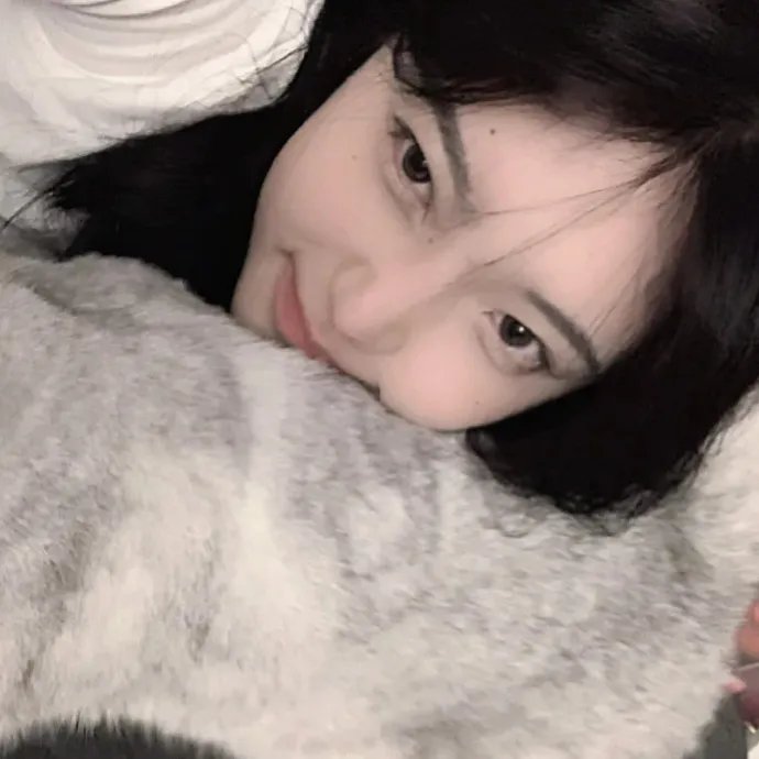 昭昭明月入君怀